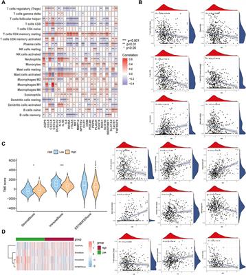 Effects of immune inflammation in head and neck squamous cell carcinoma: Tumor microenvironment, drug resistance, and clinical outcomes